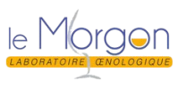 Logo Le Morgon