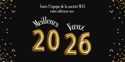 Signature e-mail Entreprise Vœux 2026 Bonne Année Moderne Noir Doré (1)